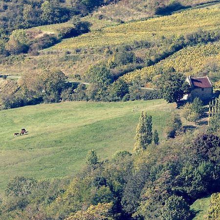Les Billardes - Le Gite - Jura Gizia Zewnętrze zdjęcie