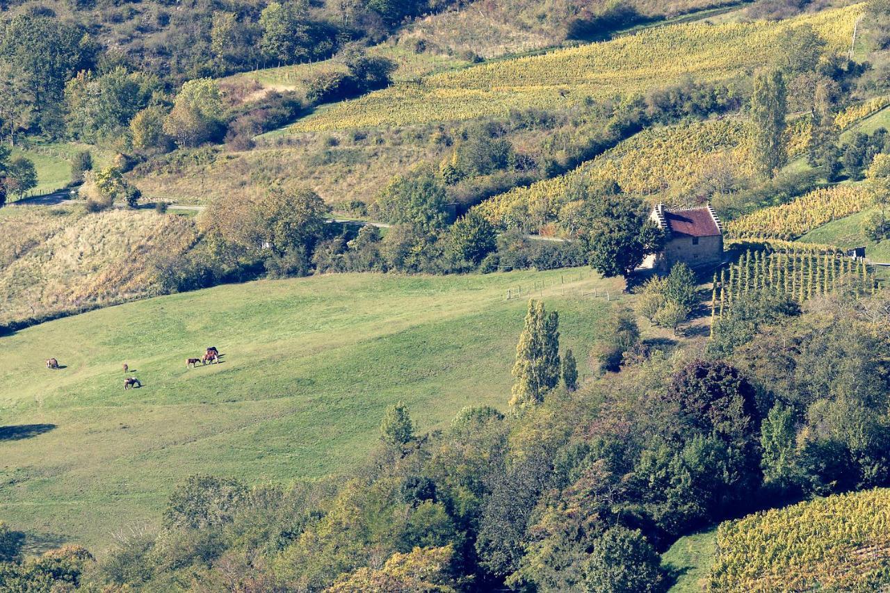 Les Billardes - Le Gite - Jura Gizia Zewnętrze zdjęcie